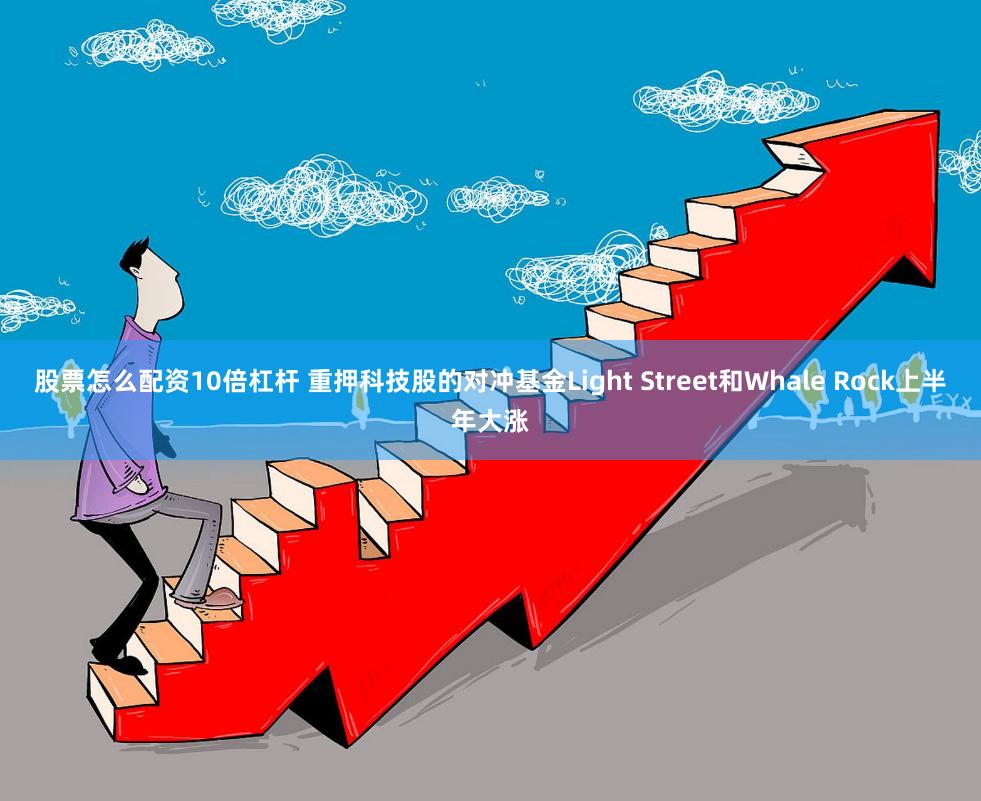 股票怎么配资10倍杠杆 重押科技股的对冲基金Light Street和Whale Rock上半年大涨
