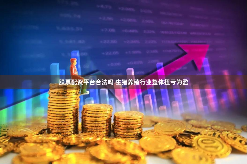 股票配资平台合法吗 生猪养殖行业整体扭亏为盈