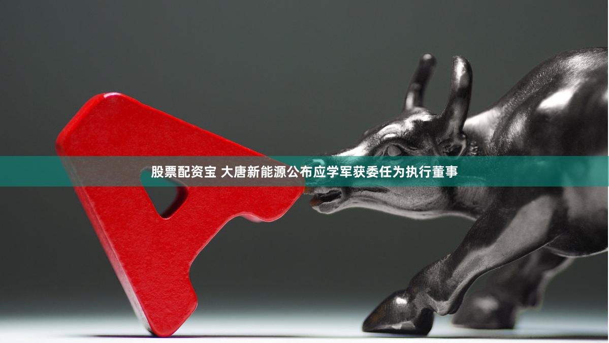 股票配资宝 大唐新能源公布应学军获委任为执行董事