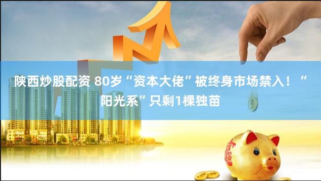 陕西炒股配资 80岁“资本大佬”被终身市场禁入！“阳光系”只剩1棵独苗