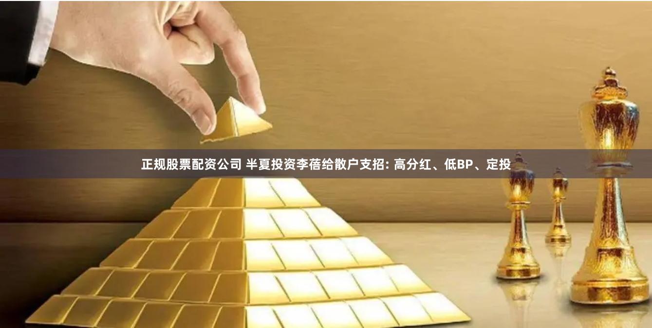 正规股票配资公司 半夏投资李蓓给散户支招: 高分红、低BP、定投