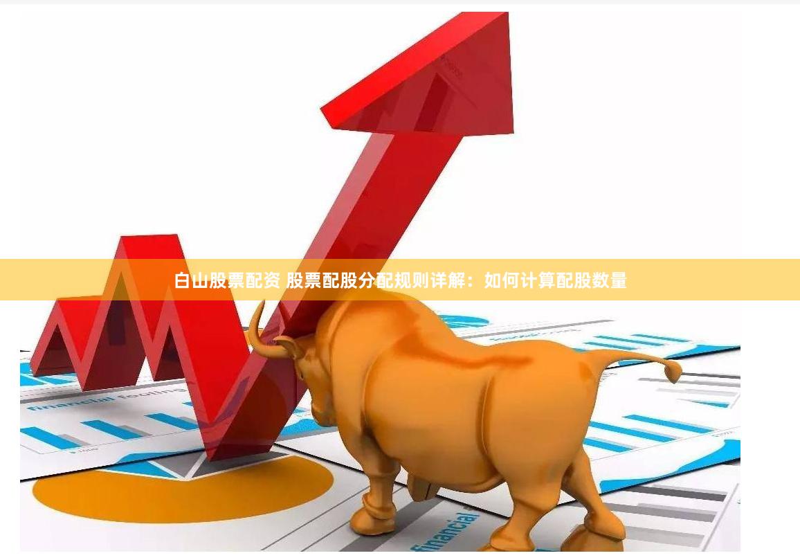 白山股票配资 股票配股分配规则详解：如何计算配股数量